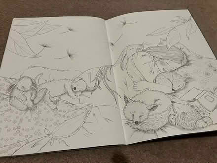 Photo of free Colouring in book (North chichester) #3