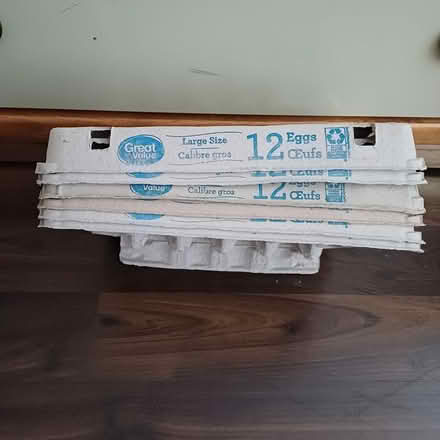 Photo of free Empty egg cartons (Thomas/Winston Churchill) #1