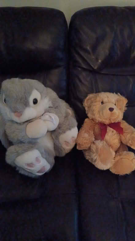 Photo of free Soft Toys (Causeway End MK43) #1