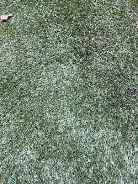 Photo of free Various off cuts of Astro turf (CM23) #1