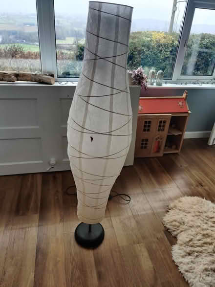 Photo of free Floor lamp (Bs39 5bs) #1