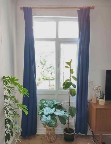 Photo of free Dark blue curtains (B29) #1
