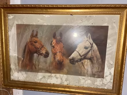 Photo of free Large framed photo (SK3 Edgeley) #1