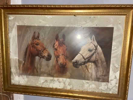 Photo of free Large framed photo (SK3 Edgeley) #1