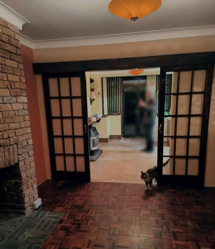 Photo of free 2 X wood doors with system (SE18) #1