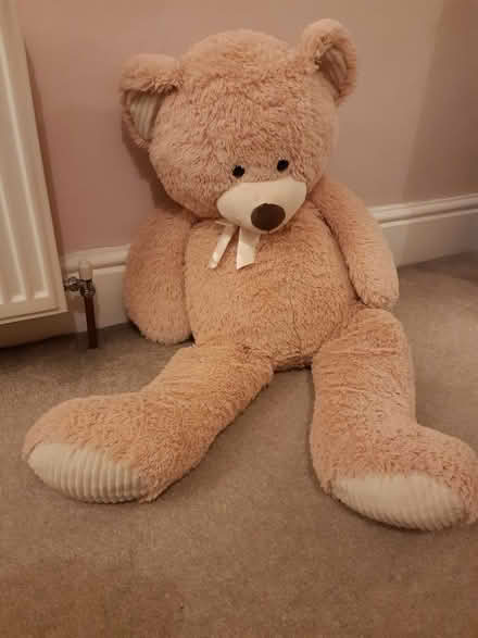 Photo of free Large Teddy Bear (Bingley (BD16)) #1
