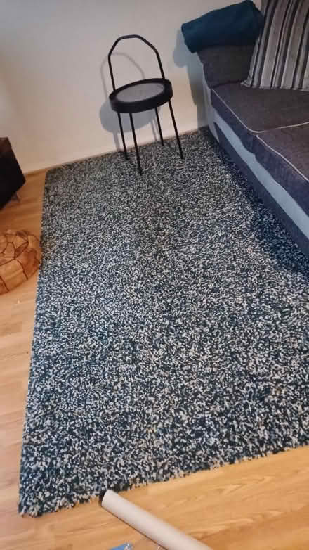 Photo of free Ikea rug 170x260 (Hounslow) #1
