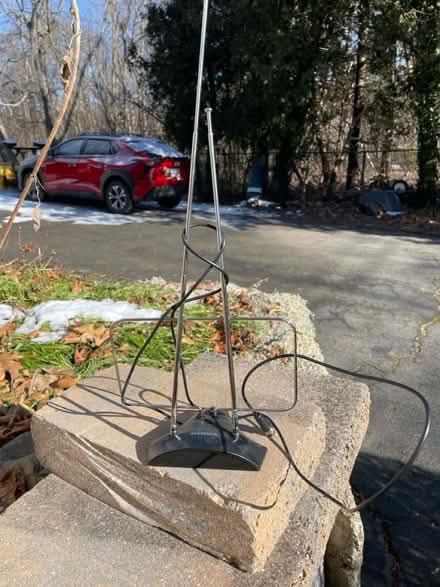 Photo of free Rabbit ears (Weymouth Landing) #2