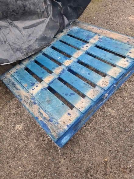 Photo of free Wooden pallets (EX13) #1