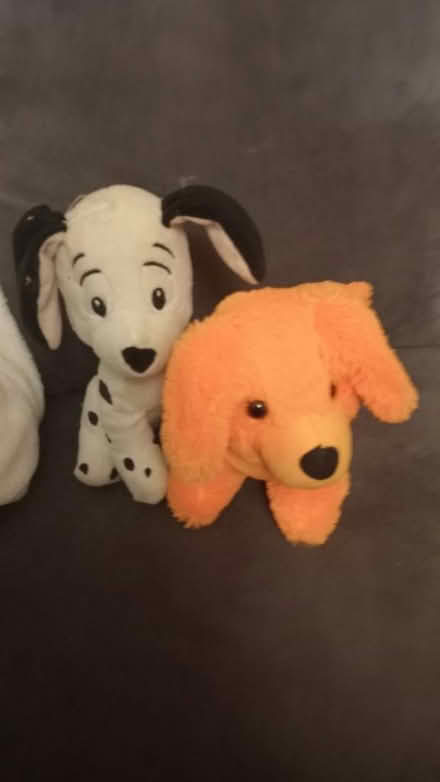 Photo of free Dog teddy's (Loughborough LE11) #1