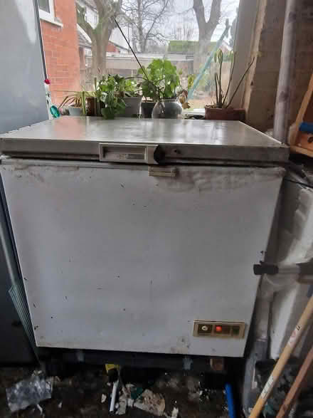 Photo of free Chest freezer (Whalley range M16) #1