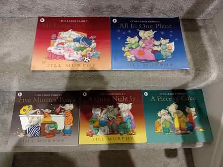 Photo of free The Large Family Book Collection (Kirk Hallam, DE7) #1
