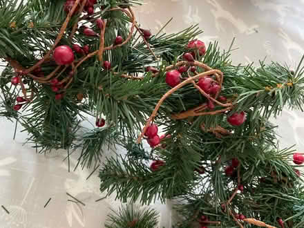 Photo of free Christmas Garland (Winchmore Hill N13) #2