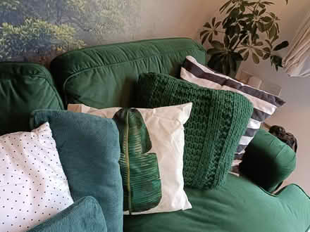 Photo of free 10 cushions (Redhill RH1) #4