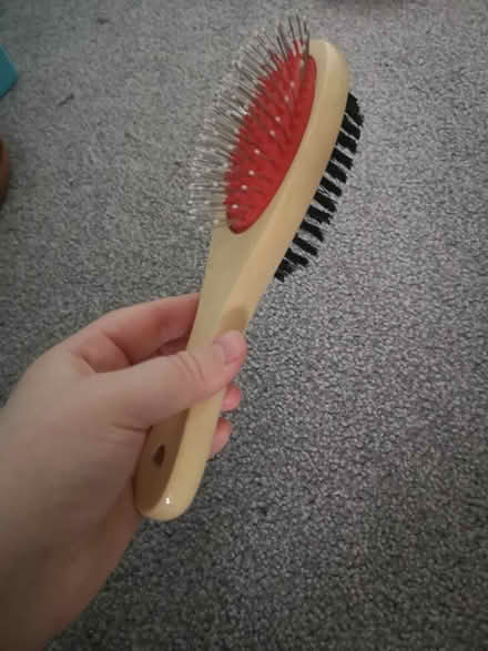 Photo of free Dog/cat toys and brush (Worthing) #2
