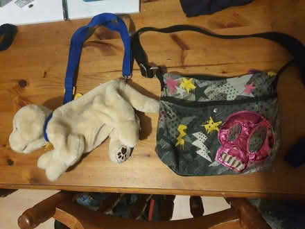 Photo of free 2 small bags (Manor Road N17) #3
