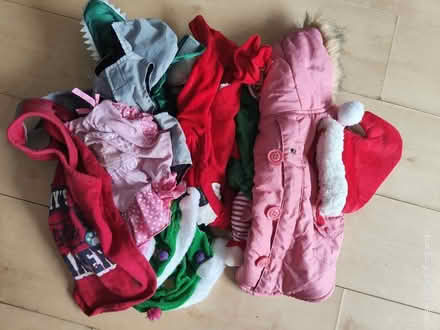 Photo of free Assorted small dog coats (PO15 Fareham) #1