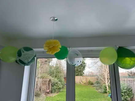 Photo of free Birthday Party Decorations (Wokingham RG40) #1