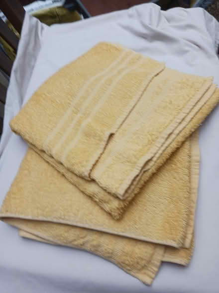 Photo of free 2 yellow hand towels (New Greens) #1