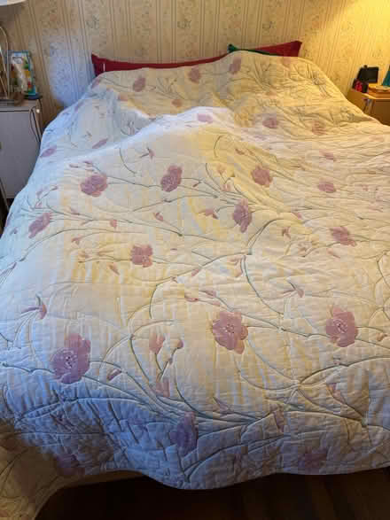 Photo of free King size Quilt (San Jose near Union/Curtner) #1