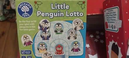 Photo of free Penguin lotto game (Horn's Mill SG13) #1