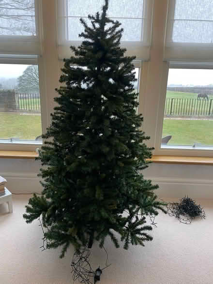 Photo of free Christmas Tree (Slyne-with-Hest LA2) #1