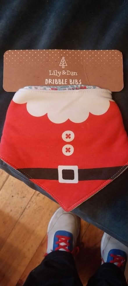 Photo of free Christmas baby bibs (Horn's Mill SG13) #1
