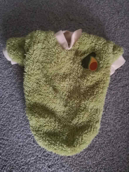 Photo of free Small dog fleece jumper (new) (Worthing) #1