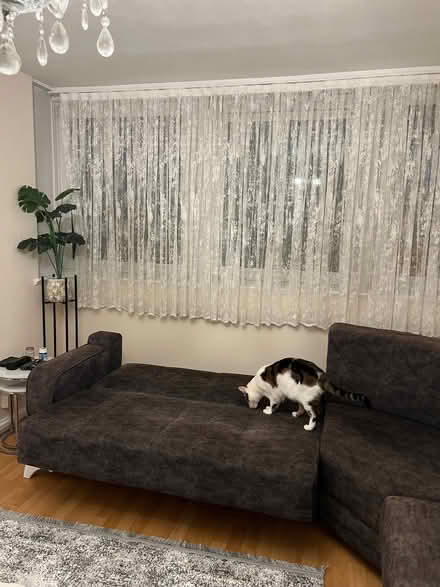 Photo of free Grey ottoman sofa (North Road N7) #4