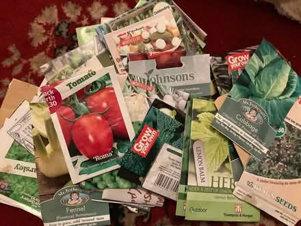 Photo of free Bag of outdated/surplus seeds (Wimborne BH21) #1