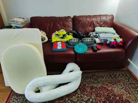 Photo of free Dog harnesses, coat, bowls, grooming tools, enrichment toys (Enfield EN1) #1