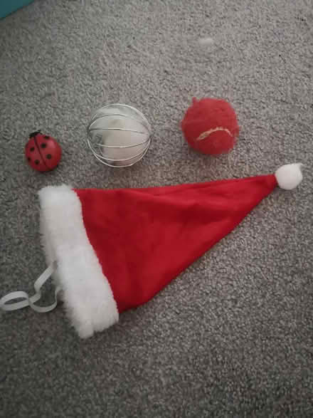Photo of free Dog/cat toys and brush (Worthing) #1