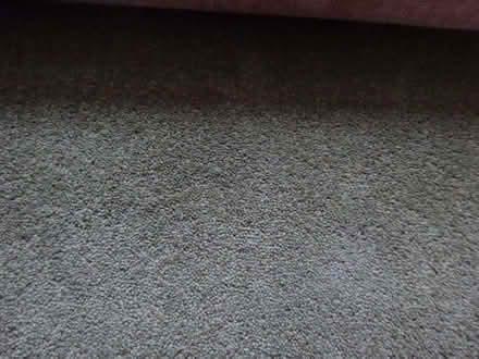 Photo of free All wool carpet offcut mid Green (Cheadle Hulme SK8) #3
