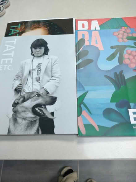 Photo of free 4 art magazines (Ladywell SE13) #1
