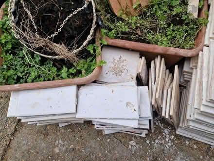 Photo of free Wall Tiles (Plumstead, SE18) #3