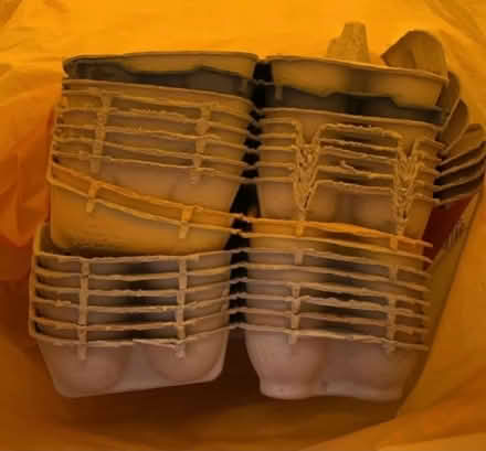Photo of free 40x Used Egg boxes (Market Harborough LE16) #1