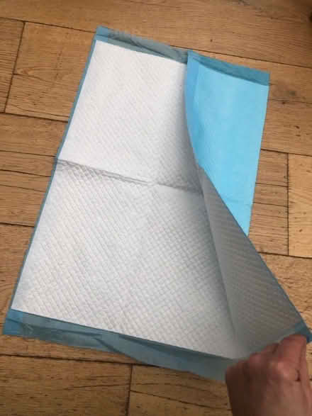 Photo of free New unused puppy pad (Harrogate HG2) #1