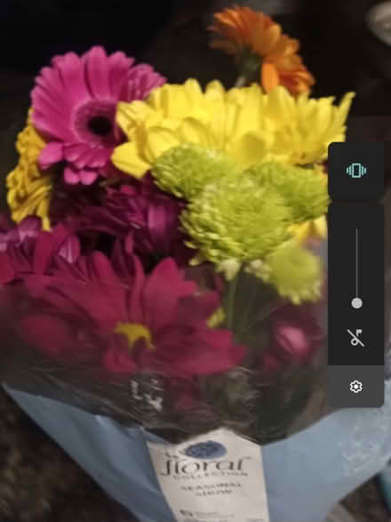 Photo of free Fresh flowers (Deepdale PR1) #1