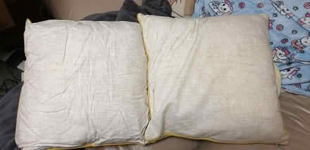 Photo of free 2 cushions floral design (Chorley Moor PR7) #2