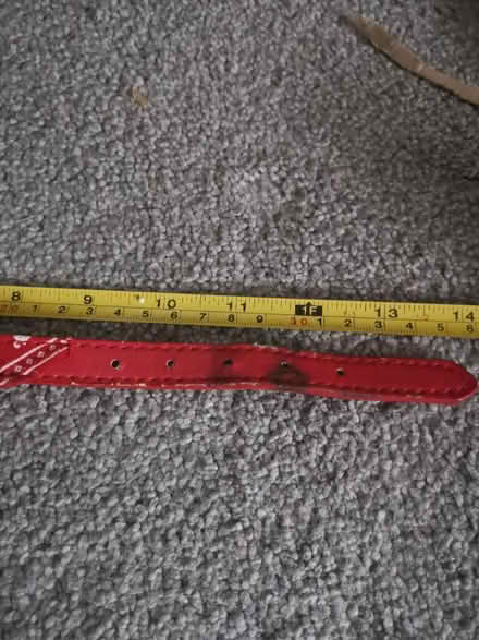Photo of free Small dog collar with bandana (Worthing) #3