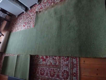 Photo of free All wool carpet offcut mid Green (Cheadle Hulme SK8) #2