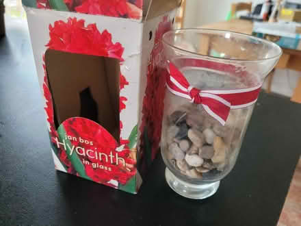 Photo of free Hyacinth glass - empty (WOKING St Johns GU21) #2
