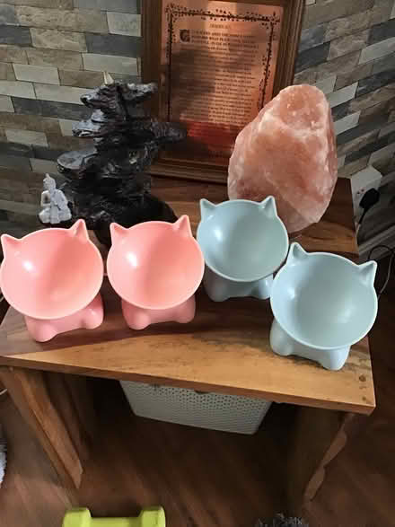 Photo of free Cat bowls x 4 (Bedfont) #1