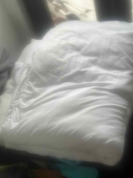Photo of free Feather single quilt (Se6 2ha) #1