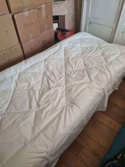 Photo of free Single guest bed (Ringmer BN8) #1