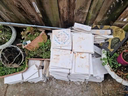 Photo of free Wall Tiles (Plumstead, SE18) #2