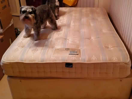 Photo of free Quality Double Divan bed/matressss (Bexhill on Sea) #1