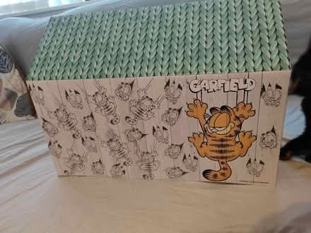 Photo of free Cardboard cat scratching house. (High Ercall TF6) #4