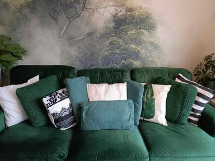 Photo of free 10 cushions (Redhill RH1) #1