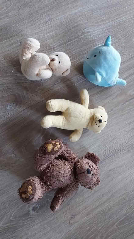 Photo of free Child's soft toys (Rowlands Castle PO9) #1
